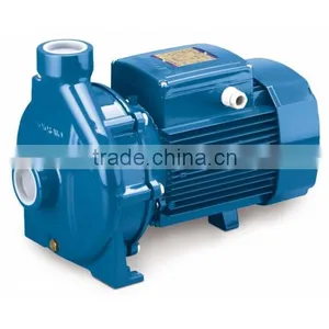 Closed-coupled Centrifugal Pump With Threaded Ports CP220C thumbnail-1