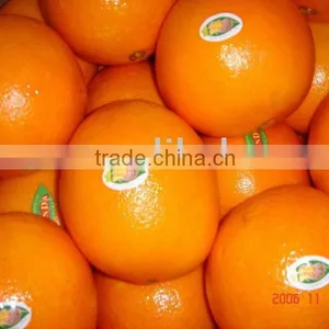 Fresh Navel Orange thumbnail-1