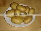 Cold Storage for Potato thumbnail-1