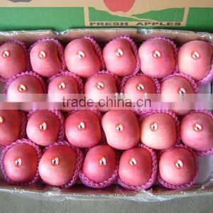 Apple Fuji Rosy Blush for Indonesia thumbnail-3