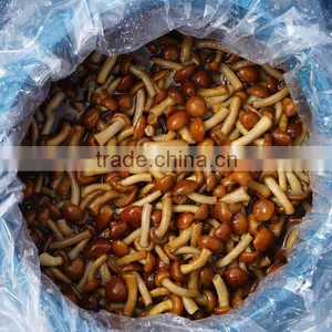 Canned Mushroom Brands,canned Mushroom Whole thumbnail-1