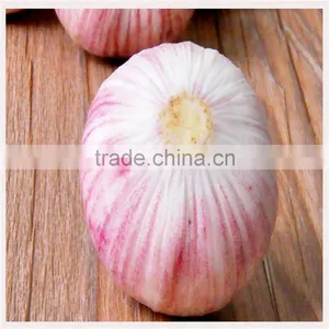 2016 New Crop Bulk Garlic With Competitive Price thumbnail-3