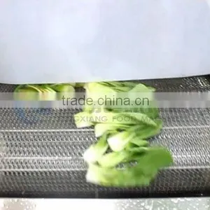 Water Recycle Saving Vegetable and Fruit Washing Cleaning Machine thumbnail-5