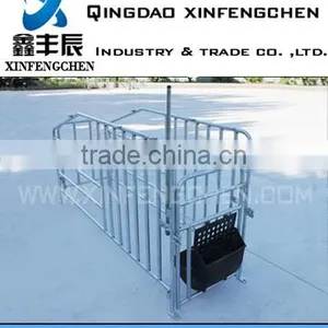 Pig Farming Equipment Swine Gestation Stall thumbnail-1