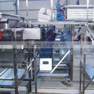 Iqf Tunnel Freezer Potato Chips Machine Blast Freezer thumbnail-5