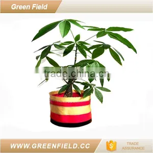 Flower Pot Wholesale Custom Fancy Flower Pot thumbnail-1