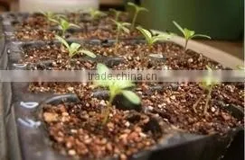 50 Cell, 98 Cell Rectangle Plastic Hole Plug Seed Growing Tray thumbnail-1