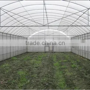 Multi-span Tunnelgreenhouse for Vagetable and Fruits thumbnail-2