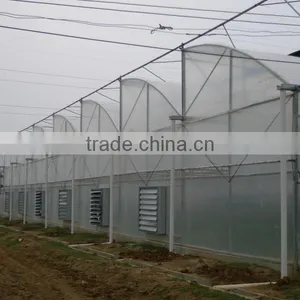 Hot Dip Galvanized Steel Structure Plastic Greenhouse thumbnail-1