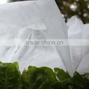 PP Non-woven Fabric ,mulch Fleece ,beige Ground Cover for Rose thumbnail-5