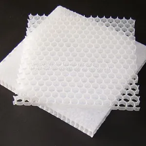 Light Weight Waterproof PP Honeycomb Act as Wall in Van thumbnail-1