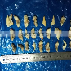 BQF Suff Clam Meat for USA Market thumbnail-4