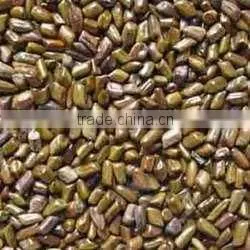 High Quality Cassia Tora Seed thumbnail-1
