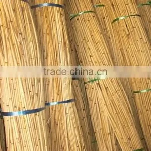 Raw White Pahang All Size Cane thumbnail-4