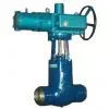 Power Plant Gate Valve thumbnail-1