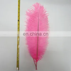 Ostrich Feather thumbnail-2