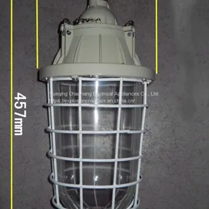 250W Extension Explosion-proof Lamp Waterproof Dustproof Lamp Explosion-proof Energy-saving Lamp BAD54 thumbnail-3