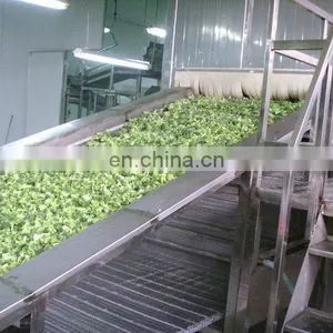 Food Quick Freezing Machine/iqf Tunnel Freezer thumbnail-3