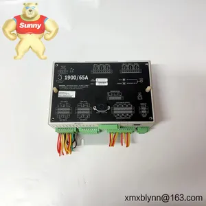 Bently Nevada 1900/65A-00-00-01-00-00 General Purpose Equipment Monitor – Compact Machinery Protection for Pumps, Fans, and Motors thumbnail-5