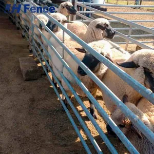 Farm-Proven Solid Sheep Panel: Heavy-Gauge Steel Sheet Construction Prevents Escapes & Predator Entry Completely thumbnail-1