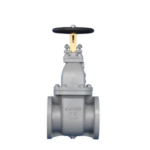 Marine Valves JIS F7363 Cast Iron Gate Valve DN80 DN150 Flange Bronze F7363 20K 10K 5K Cast Steel Non Rising Stem Gate Valve thumbnail-4