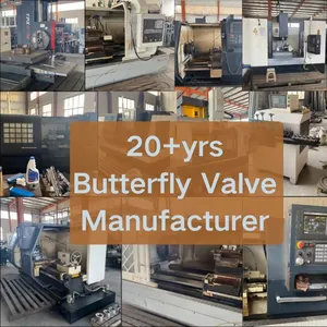 OEM Asme Manual 2 3 4 6 8 Fast Delivery EPDM PTFE SS304 SS316 Wholesale Butterfly Valves for Oil Acid Control Direct China thumbnail-5