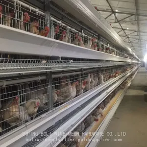 Best Price Egg Layer Chicken Farm Laying Hens Poultry Automatic Battery Cages for Sale Customized BOLI thumbnail-2