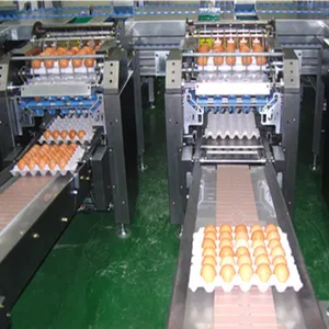 Egg Cleaning Sorting Packing Line thumbnail-1