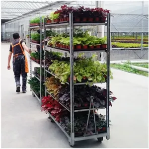 Large Commercial Metal Plant Flower Cart Display Rack thumbnail-3