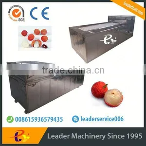 Big Capacity Lychee Peeling Machine Website:leaderservice006 thumbnail-3