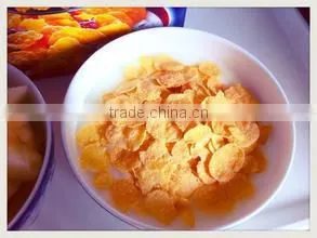 Whole Stainless Steel Corn Flakes Processing Line thumbnail-1
