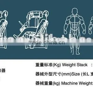 Gym Use Best Selling Fitness Equipment/ Seated Leg Curl /TZ-6001 thumbnail-4