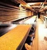 Multi Ply NN Fabric Conveyor Belt for Grain Transportation thumbnail-1