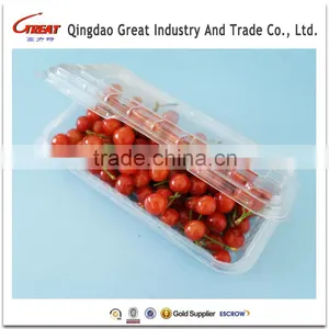 Disposable Rectangle Plastic Clear Fruit Containers With Lids thumbnail-2