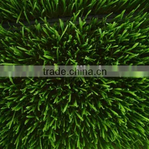 Alihot Wheat/barley Seedling Machine thumbnail-1