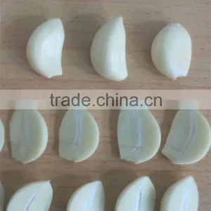 Fresh Garlic-Normal White Fresh Garlic thumbnail-1
