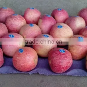 Fresh Qinguan Apple thumbnail-1