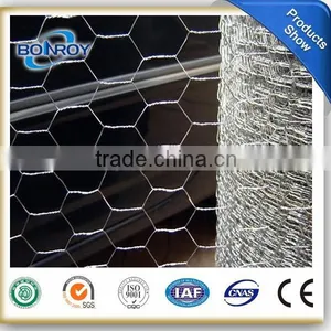 Galvanized Hexagonal Wire Mesh for Chicken Wire Netting thumbnail-1