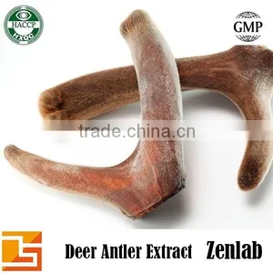 High Quality Ton Stock Deer Antler Velvet Extract Powder thumbnail-1