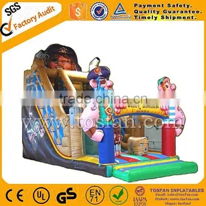 Giant Inflatable Slide Funny Inflatable Slide With Discount A4065 thumbnail-1