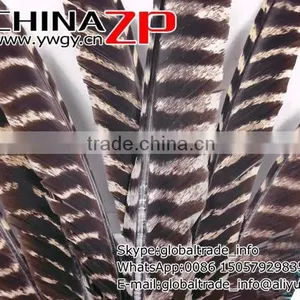 Beautiful Plume Crafts Wholesale Cheap Bulk Dyed Wild Turkey Feathers thumbnail-2