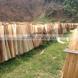 Viet Nam Suppliers 1.5 - 2.0 mm Eucalyptus Veneer thumbnail-5