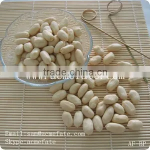 New Production Commom Raw Peanut Kernels 25/29 thumbnail-1