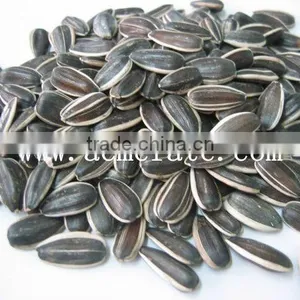 Sunflower Seeds 5009 thumbnail-1