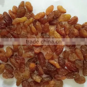 Dried Brown Grapes thumbnail-1