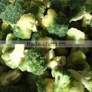 Iqf Broccoli (Grade A) thumbnail-1