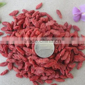 Goji Berry Farm Sale 380g/50 thumbnail-2