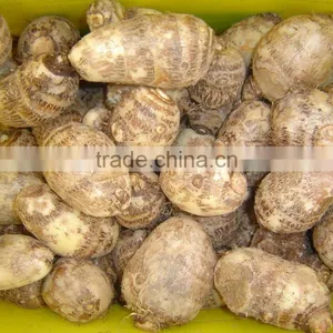 Fresh Taro thumbnail-2