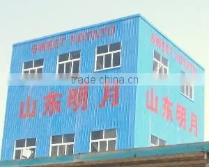 Shandong Mingyue Foodstuffs Co., Ltd. company overview - view 2 thumbnail
