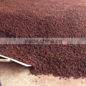 VIETNAM AUTUMN STAR ANISEED thumbnail-5